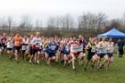 Senior mens start 2012 North East Championships, Summerhill Country Park, Hartlepool.